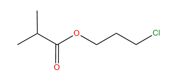 3-Chloropropyl isobutyrate